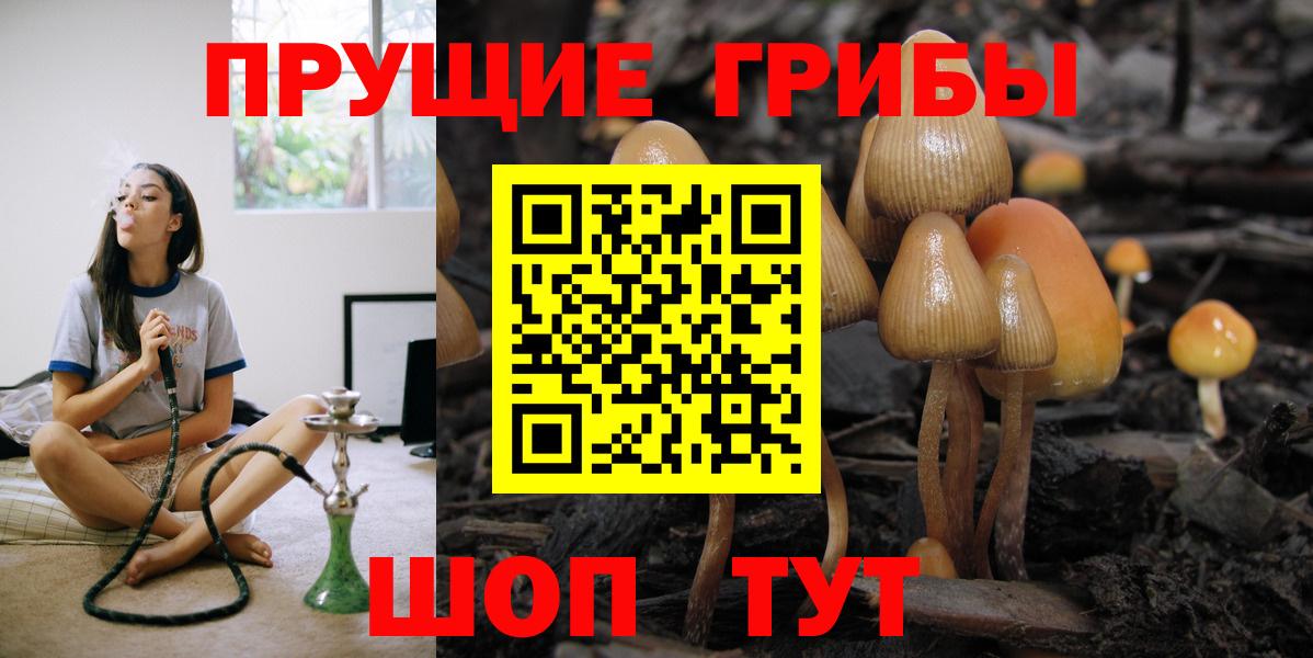 закладка  Псилоцибиновые грибы прущие грибы  Вход с VPN  Свободный 